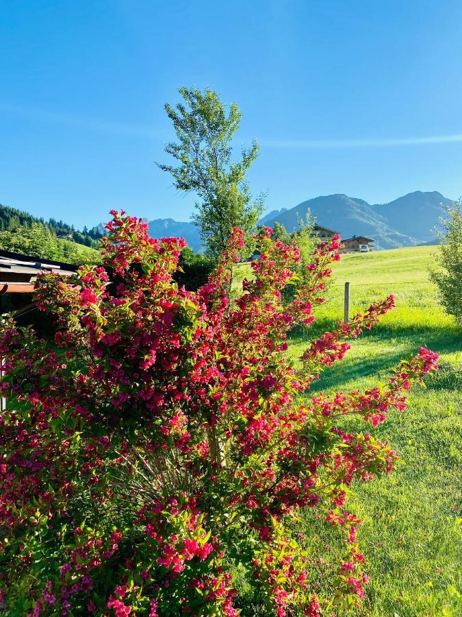 Ferienwohnung Haus Asslaber Hochfilzen Exterior foto